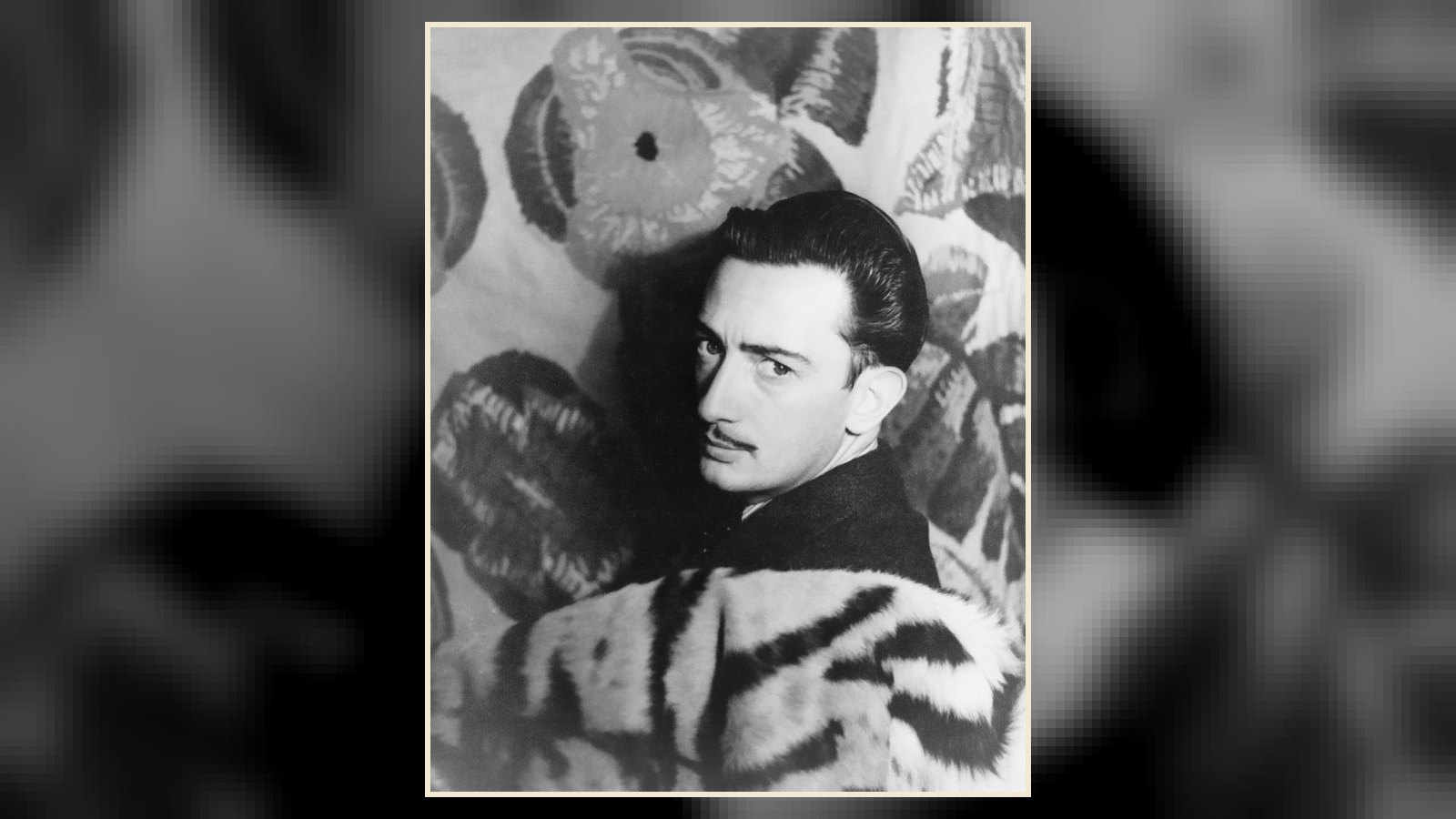 How to Grow a Dalí Mustache: The Complete Guide