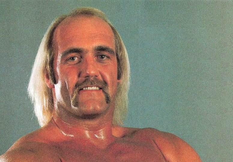 Hulk Hogan mustache