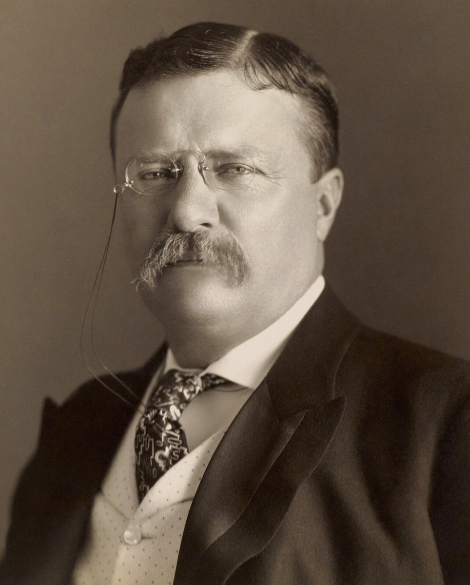 Theodore Roosevelt mustache